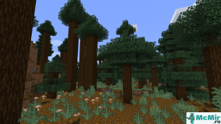 Тайга с гигантскими деревьями в Майнкрафте