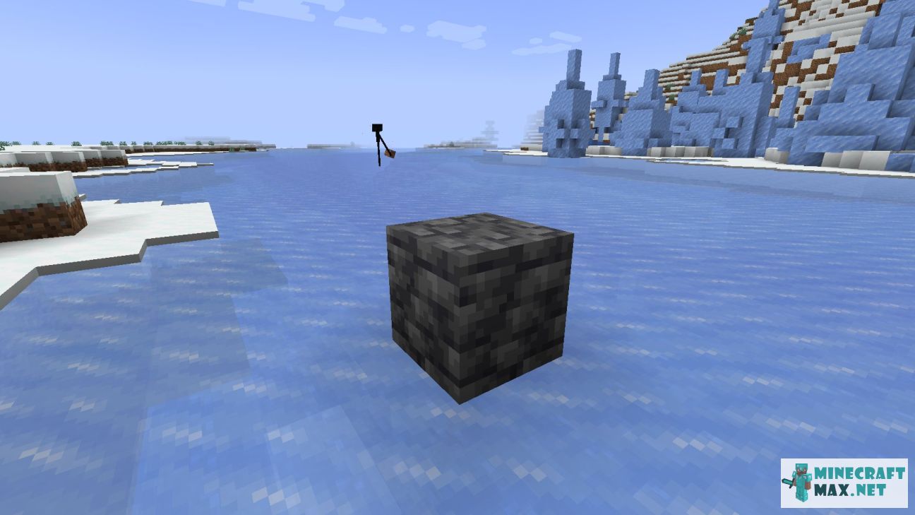 Black gem in Minecraft | Screenshot 3439
