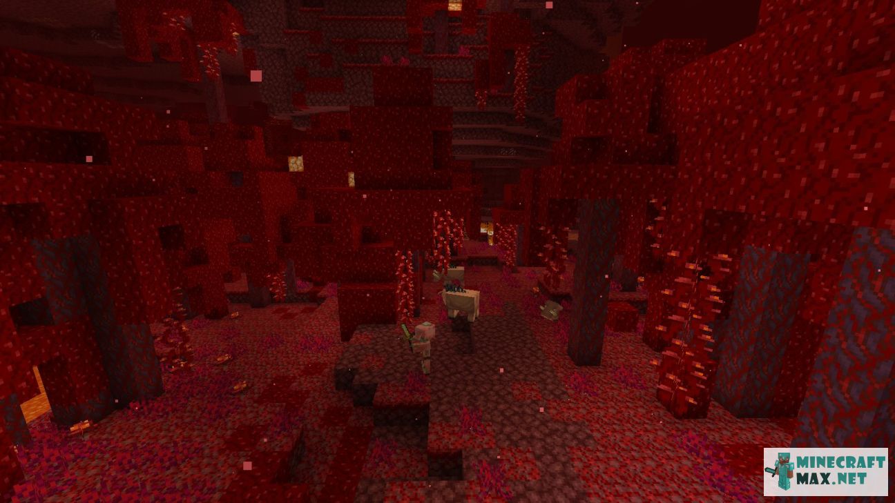 Black gem in Minecraft | Screenshot 3510