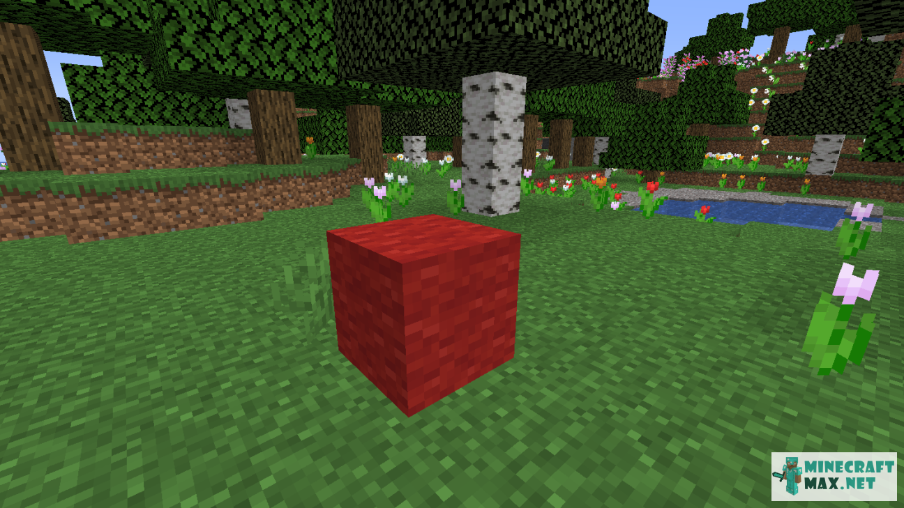 Modem in Minecraft | Screenshot 1194