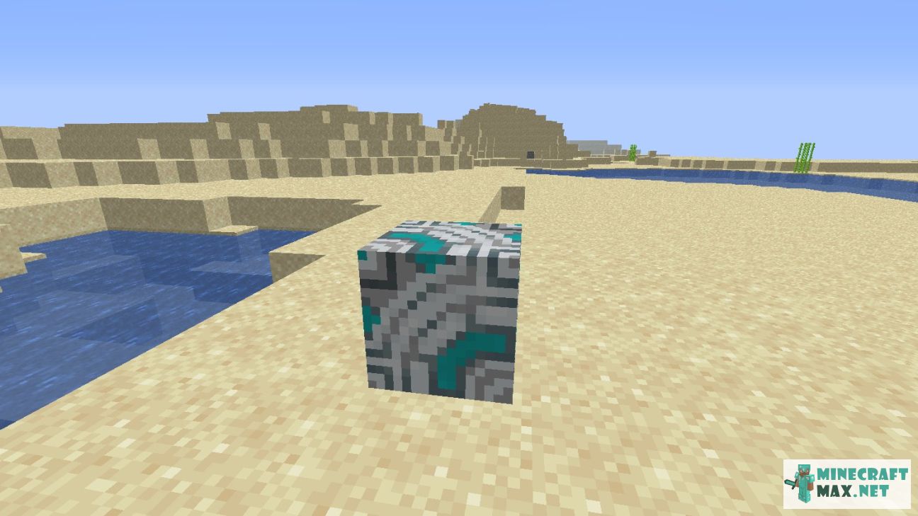 Black gem in Minecraft | Screenshot 2357