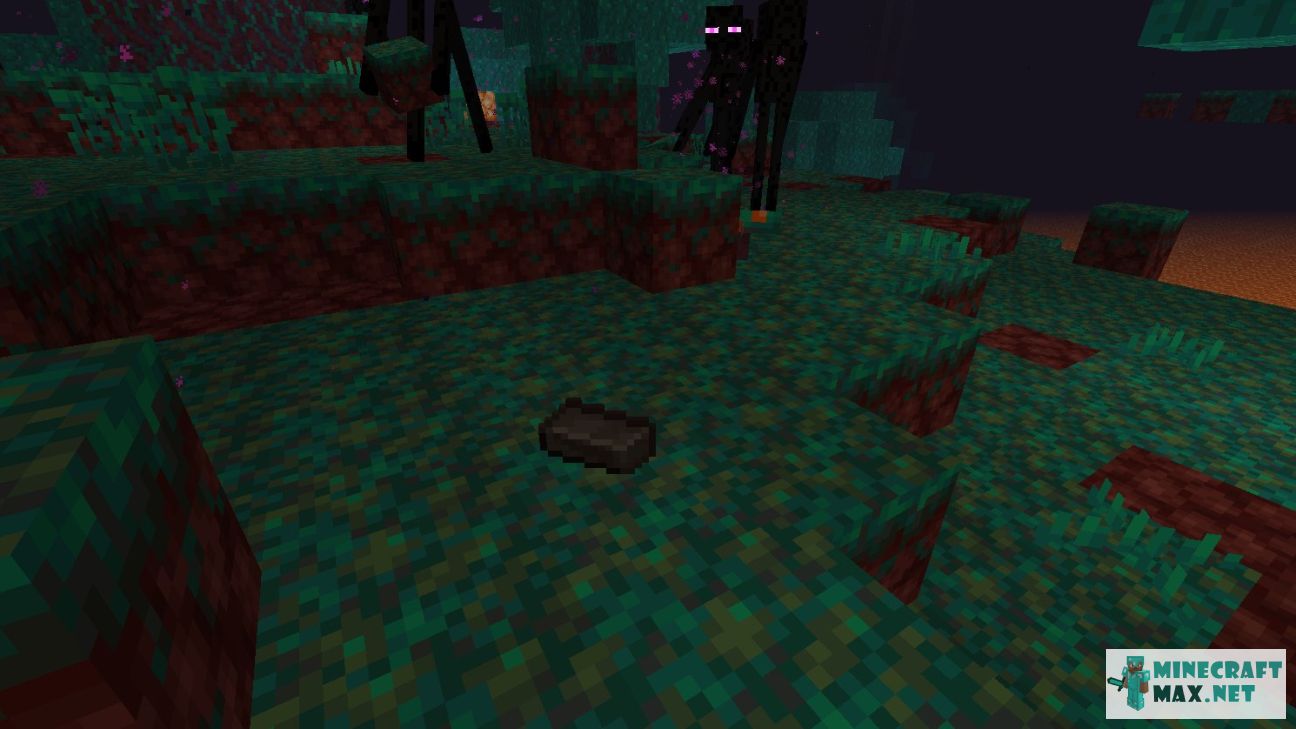 Black gem in Minecraft | Screenshot 2105