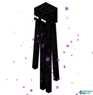 Enderman, Minecraft Wiki