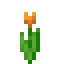 Orange Tulip in Minecraft