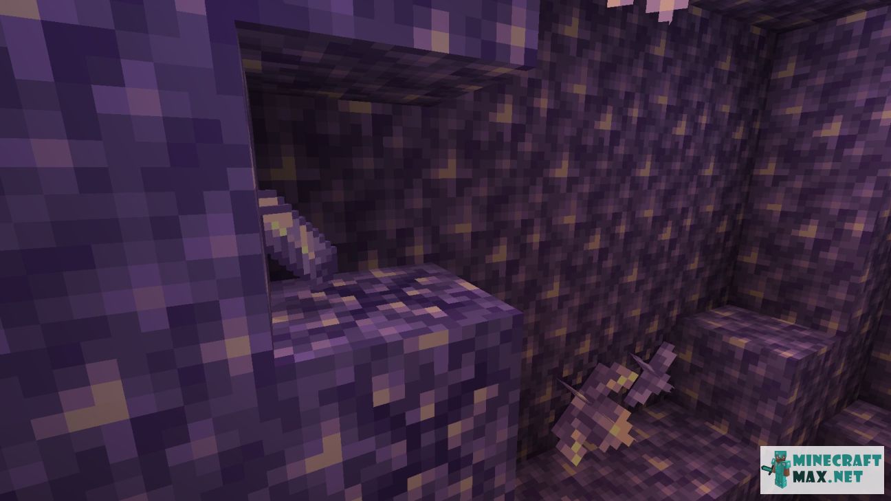 Black gem in Minecraft | Screenshot 3463