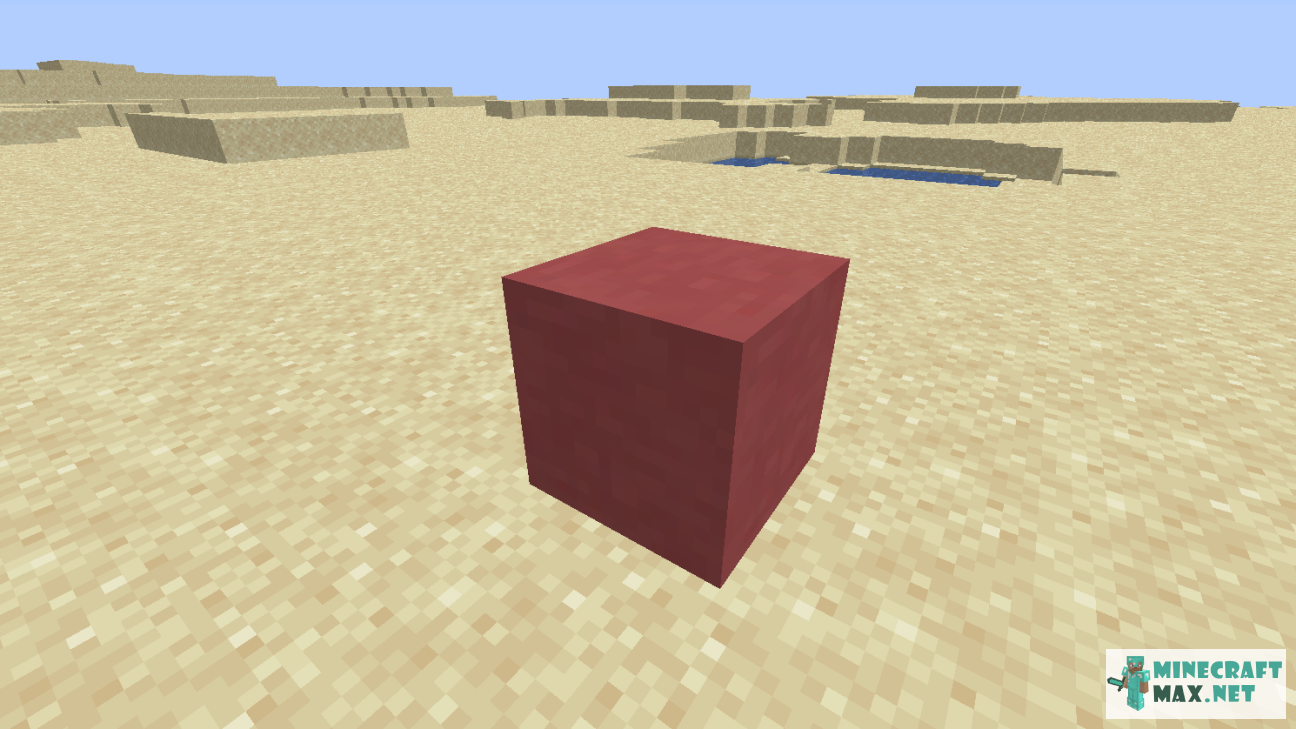 Black gem in Minecraft | Screenshot 1091