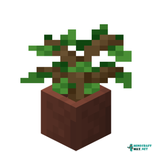 Potted Oak Sapling in Minecraft