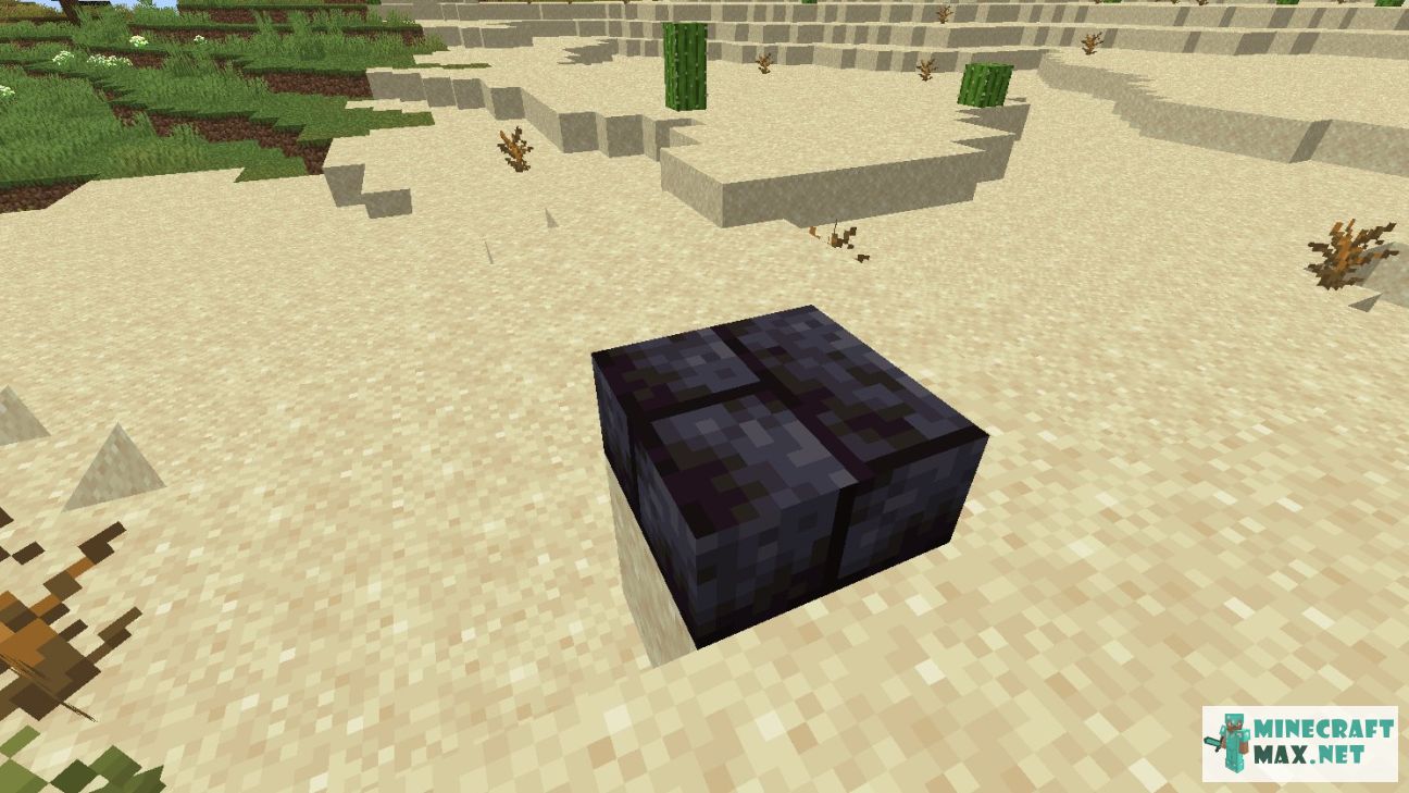 Black gem in Minecraft | Screenshot 2922