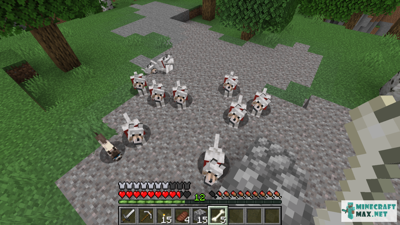 Quests Tame a pack of 10 or more wolves for Minecraft | Screenshot 7