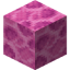 Coral blocks in Minecraft