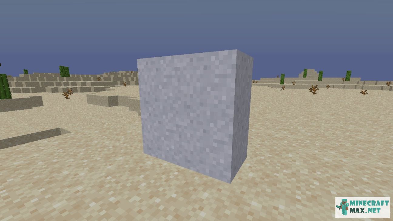 Black gem in Minecraft | Screenshot 2739