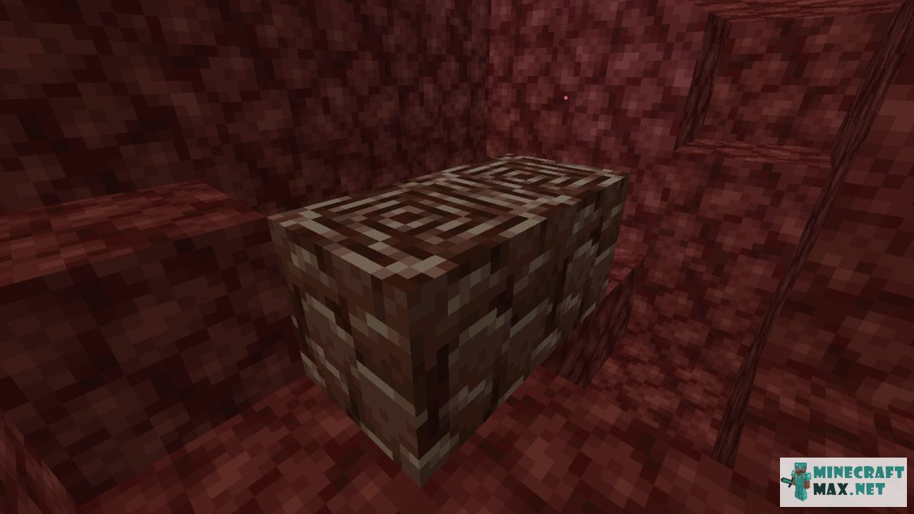 Black gem in Minecraft | Screenshot 2106