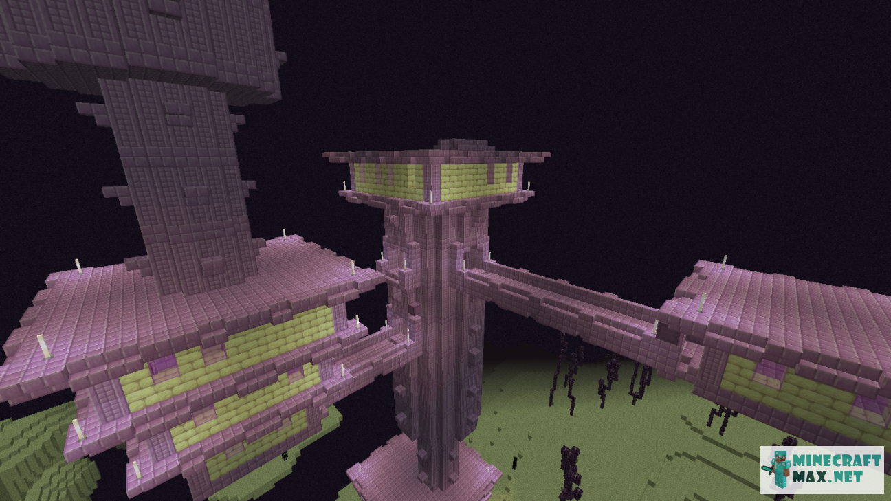 Black gem in Minecraft | Screenshot 1602