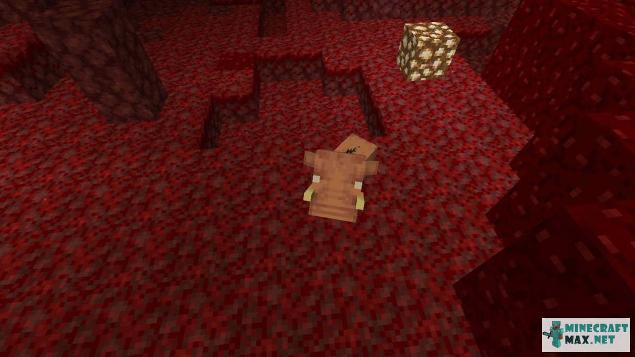 Modem in Minecraft | Screenshot 2501
