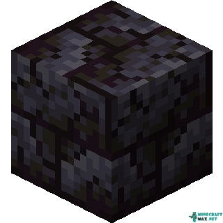 Cracked Polished Blackstone Bricks in Minecraft
