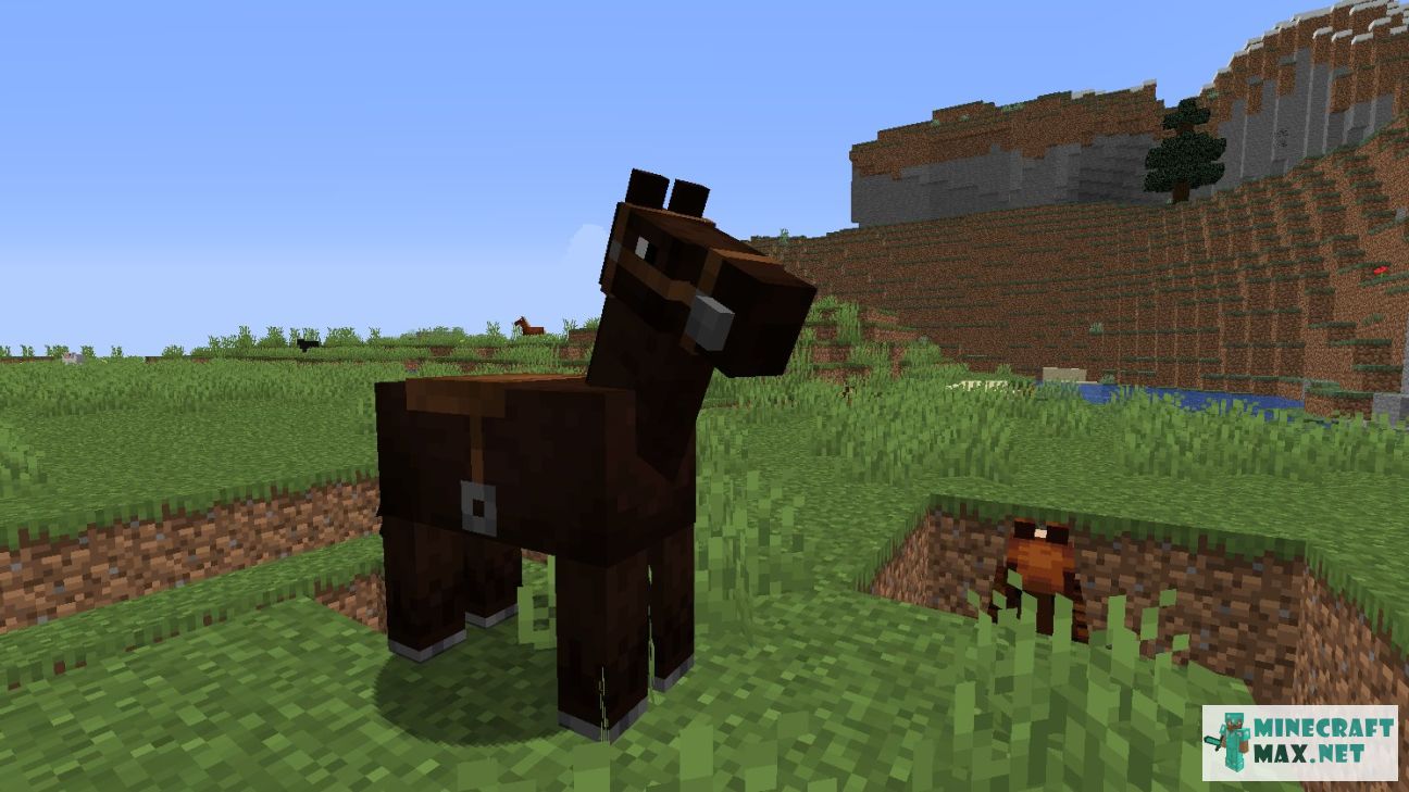 horse-how-to-craft-horse-in-minecraft-minecraft-wiki