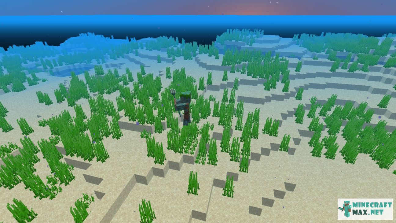Black gem in Minecraft | Screenshot 2177