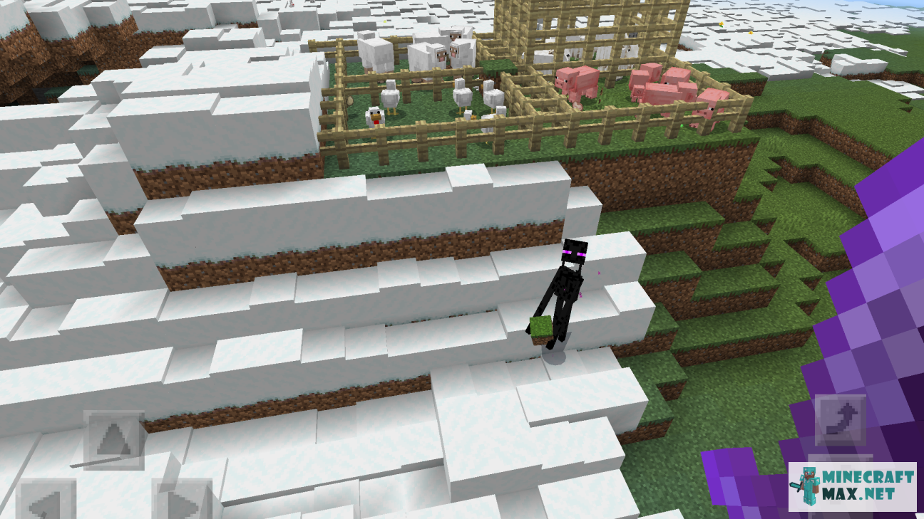 Quests Portrait of an aggressive enderman for Minecraft | Screenshot 2