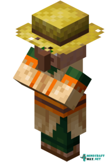 Farmer in Minecraft