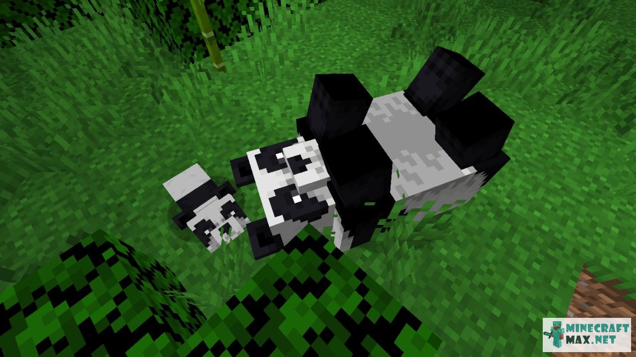 Black gem in Minecraft | Screenshot 2482