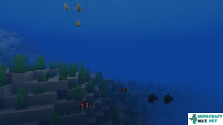 Lukewarm Ocean in Minecraft