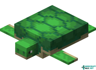 Turtle in Minecraft