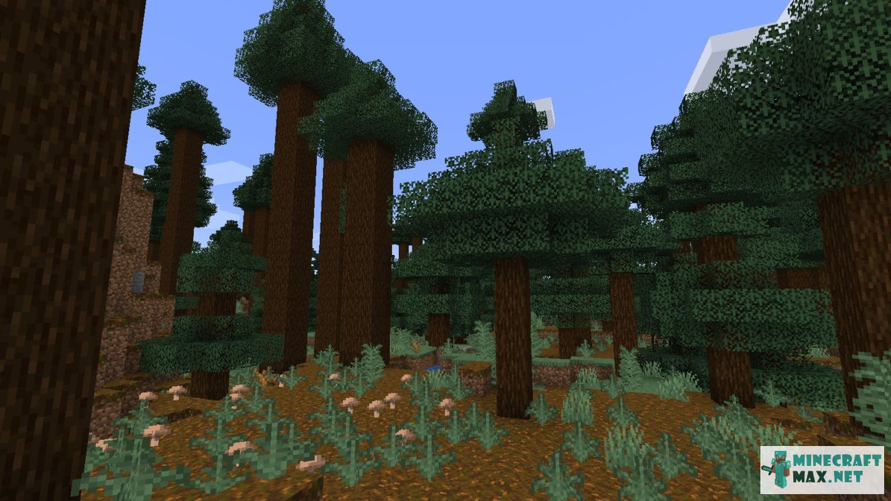 Giant Tree Taiga Hills in Minecraft