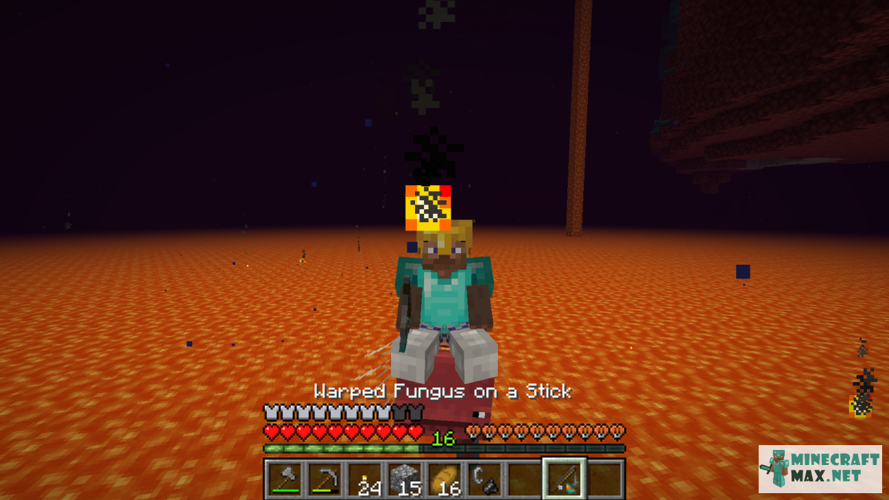 Quests Screenshot of a player riding a strider in the Nether for Minecraft | Screenshot 7