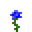 Dark Bleu Rose in Minecraft