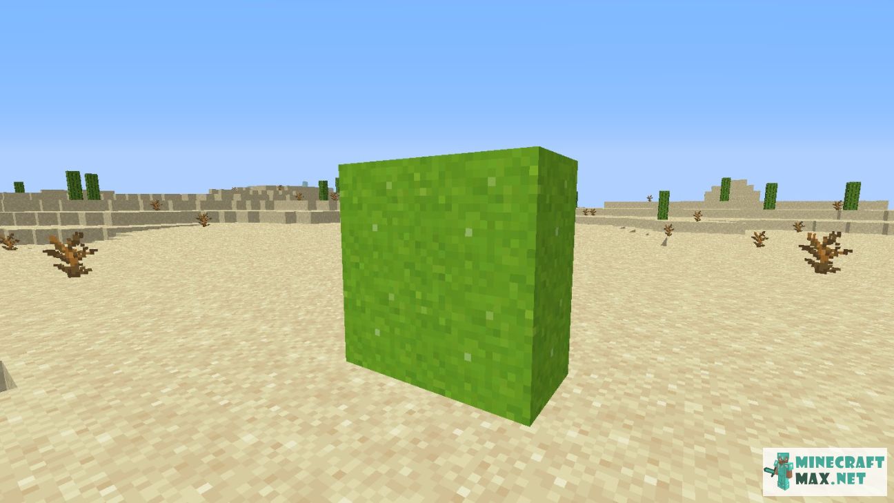 Modem in Minecraft | Screenshot 2715