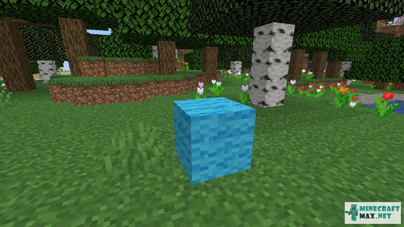 Black gem in Minecraft | Screenshot 1180