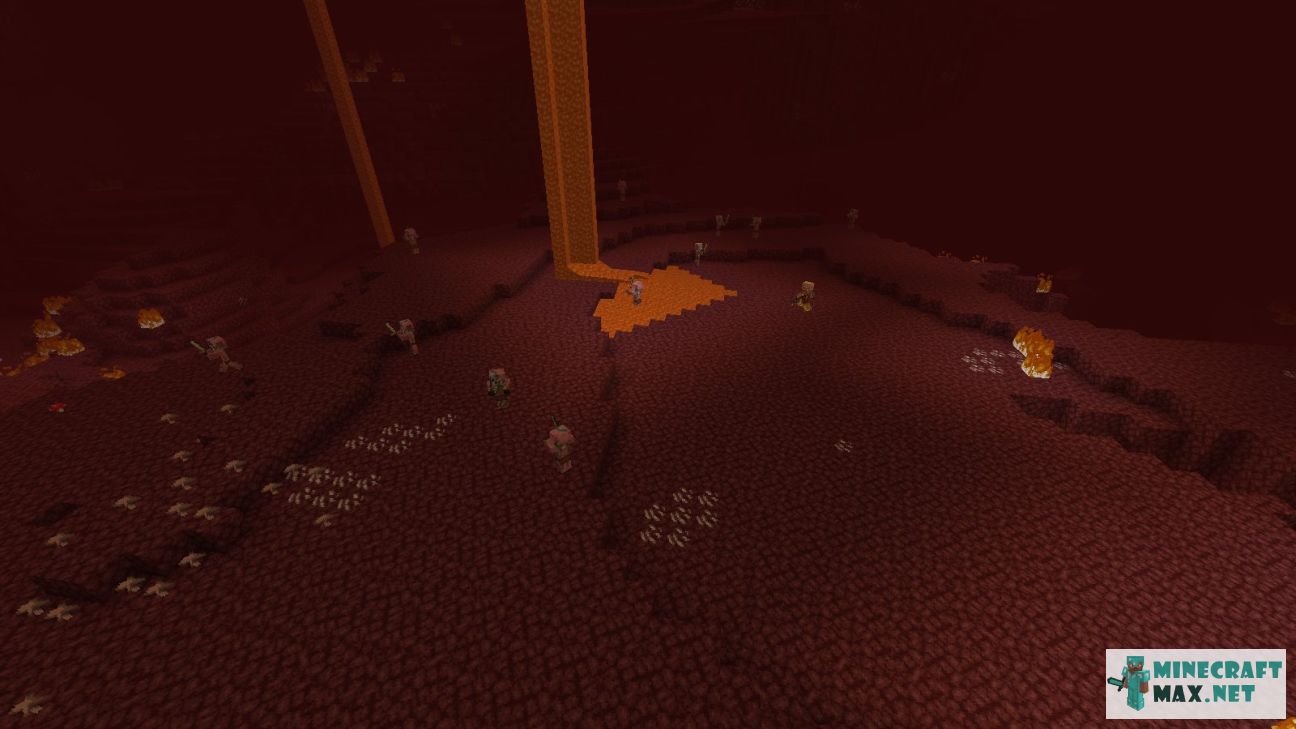 Black gem in Minecraft | Screenshot 3563