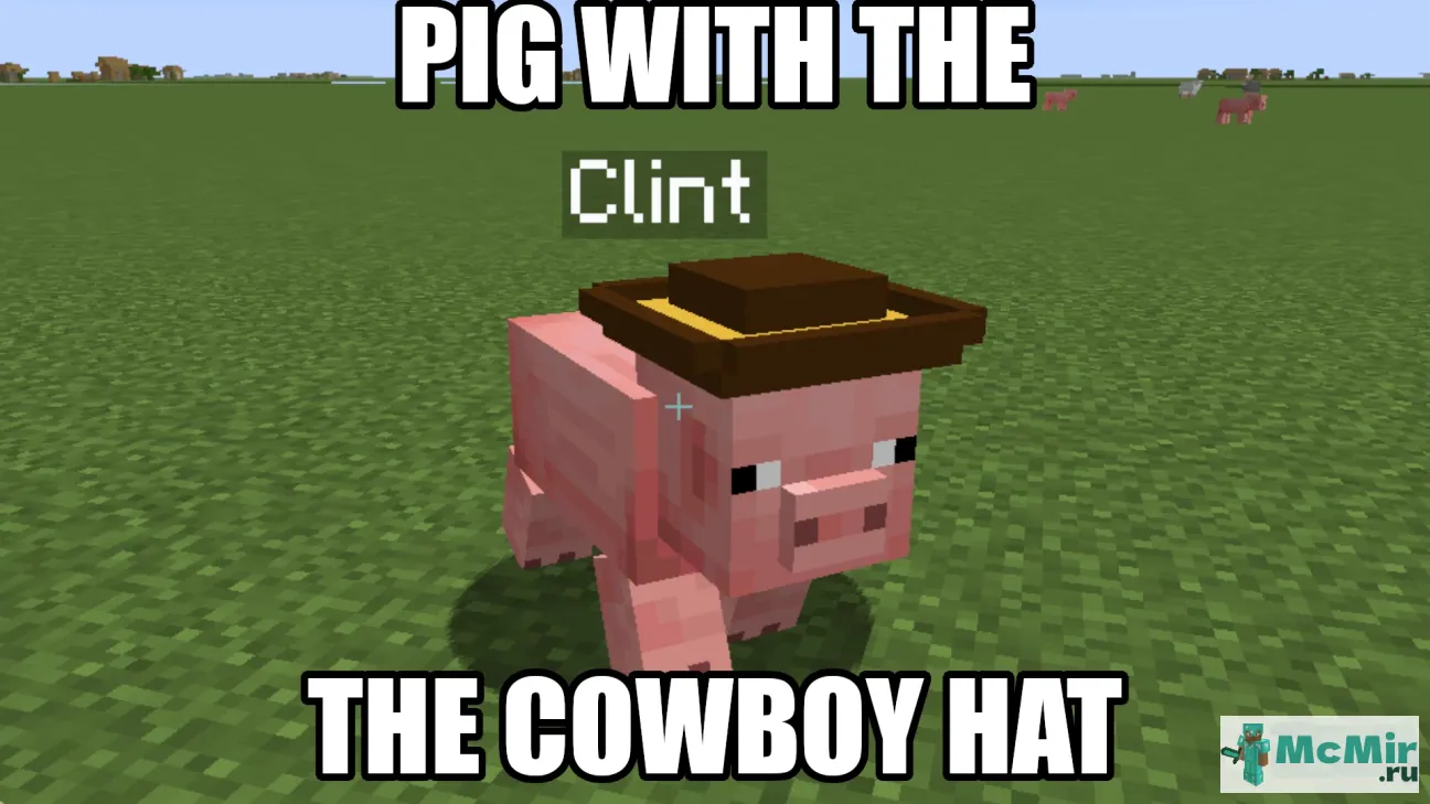 Текстура Свинья в ковбойской шляпе | Скачать текстуру для Minecraft: 1