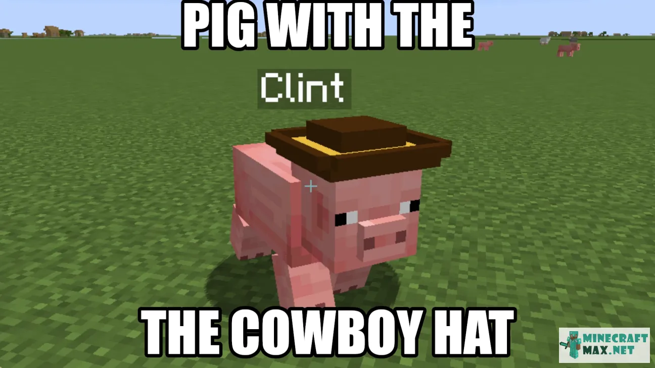 Pig with the Cowboy Hat | Download texture for Minecraft: 1