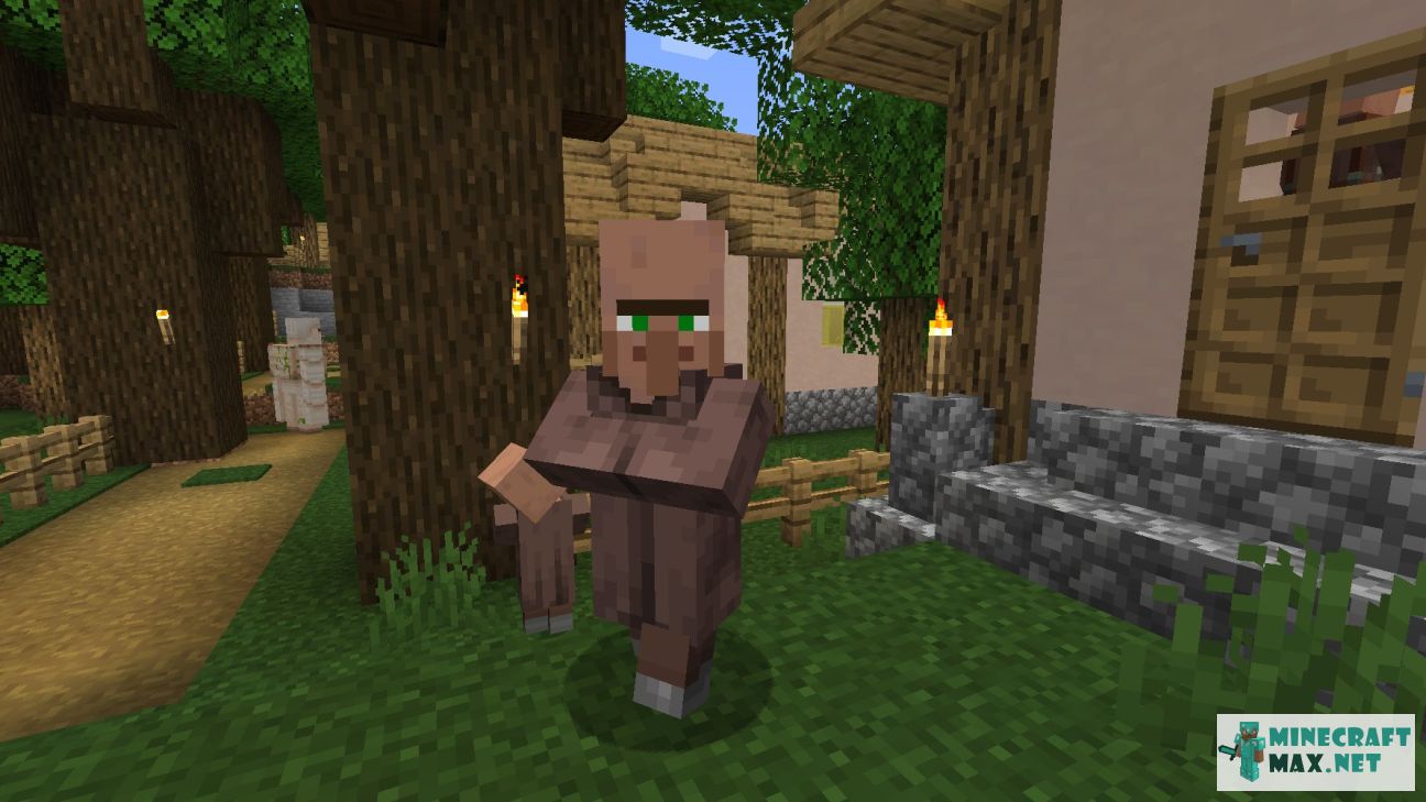 Modem in Minecraft | Screenshot 1435