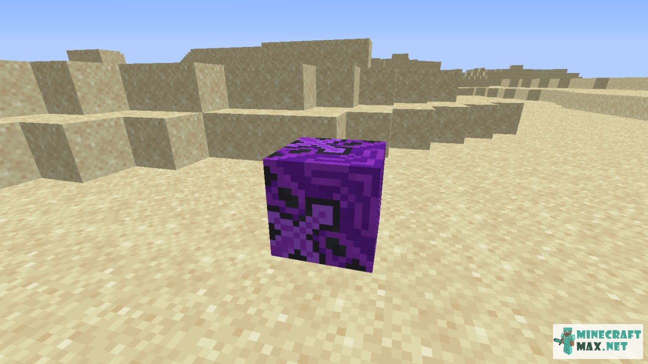Black gem in Minecraft | Screenshot 2363