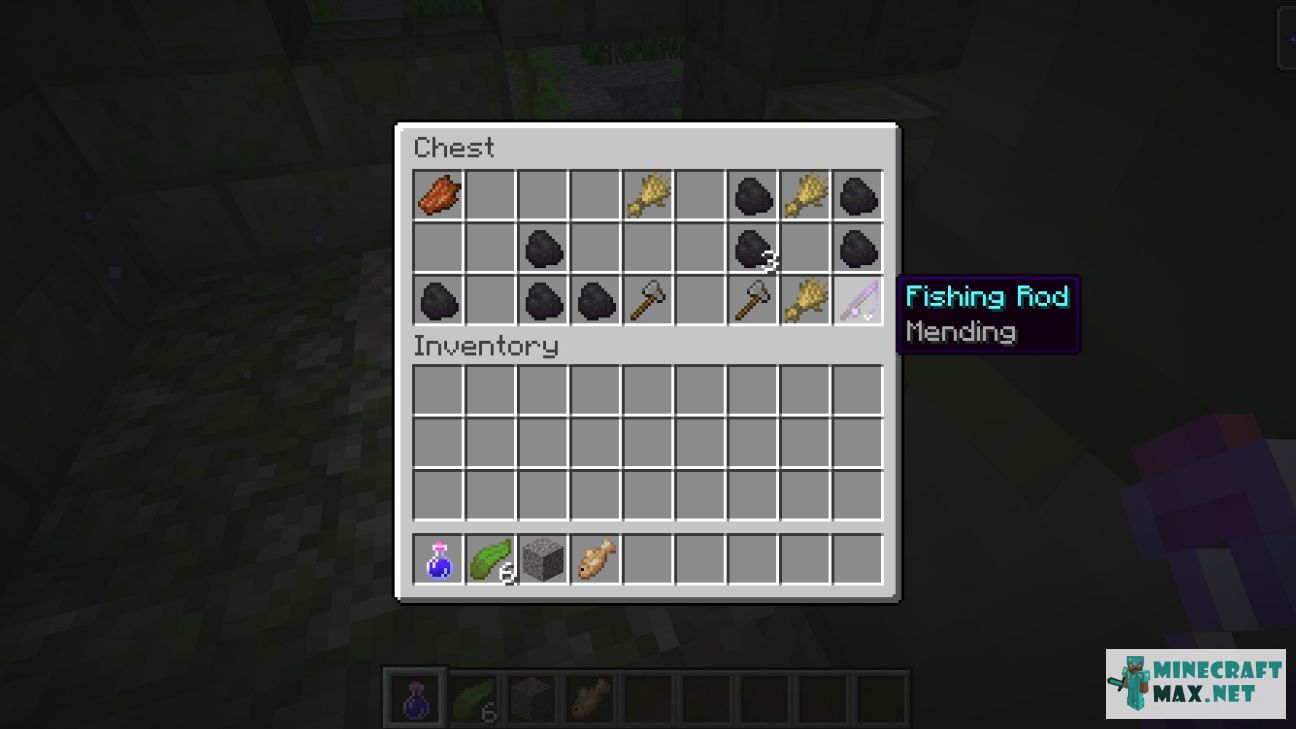 Black gem in Minecraft | Screenshot 3068