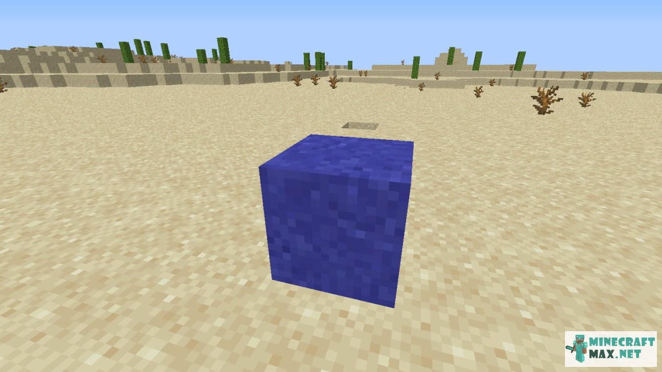 Black gem in Minecraft | Screenshot 2688