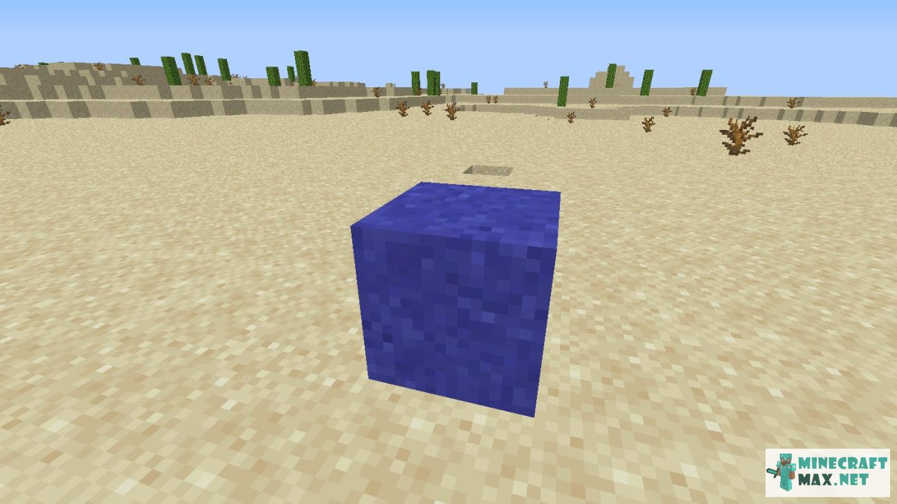 Modem in Minecraft | Screenshot 2686