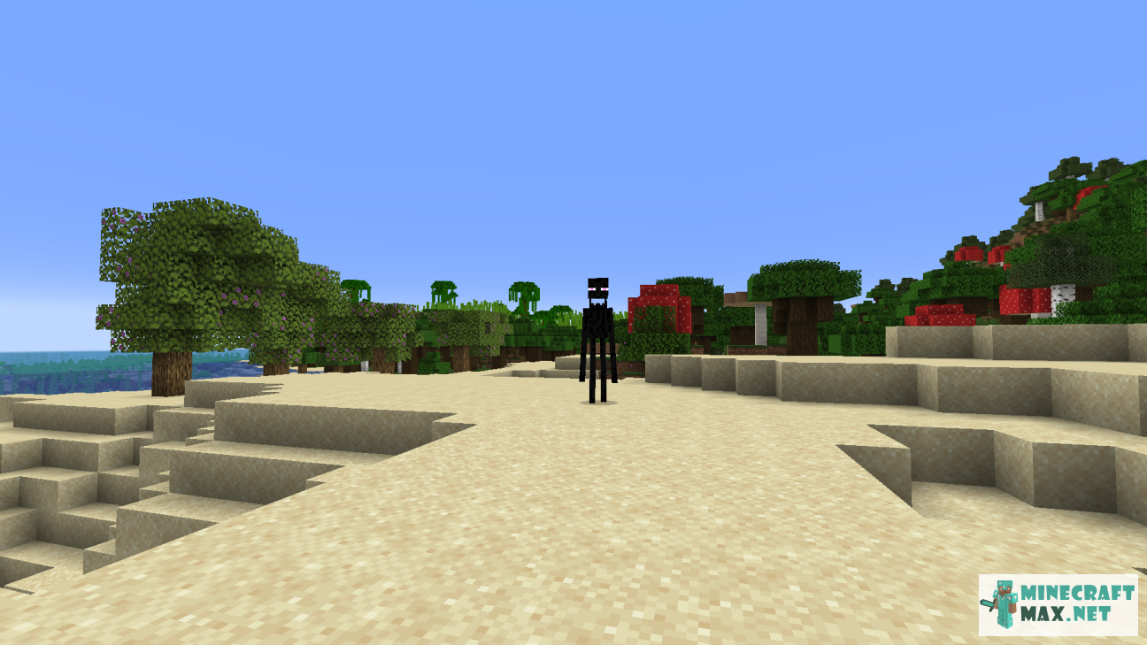 Quests Portrait of an aggressive enderman for Minecraft | Screenshot 3