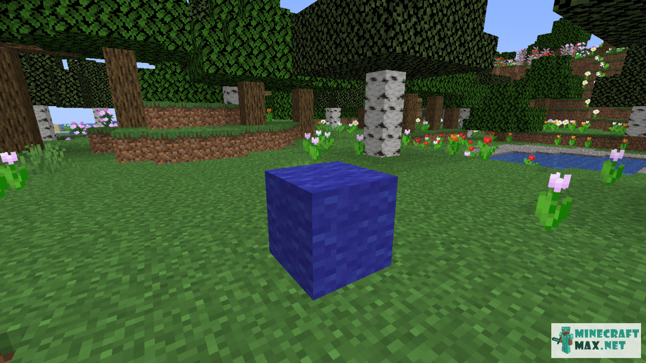 Black gem in Minecraft | Screenshot 1188