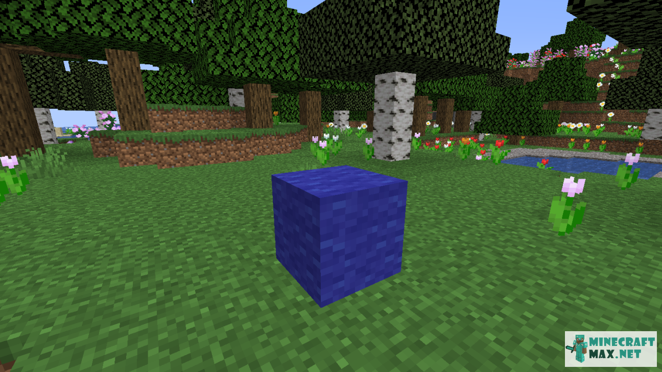 Modem in Minecraft | Screenshot 1190