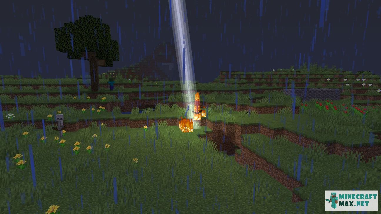 Black gem in Minecraft | Screenshot 3172