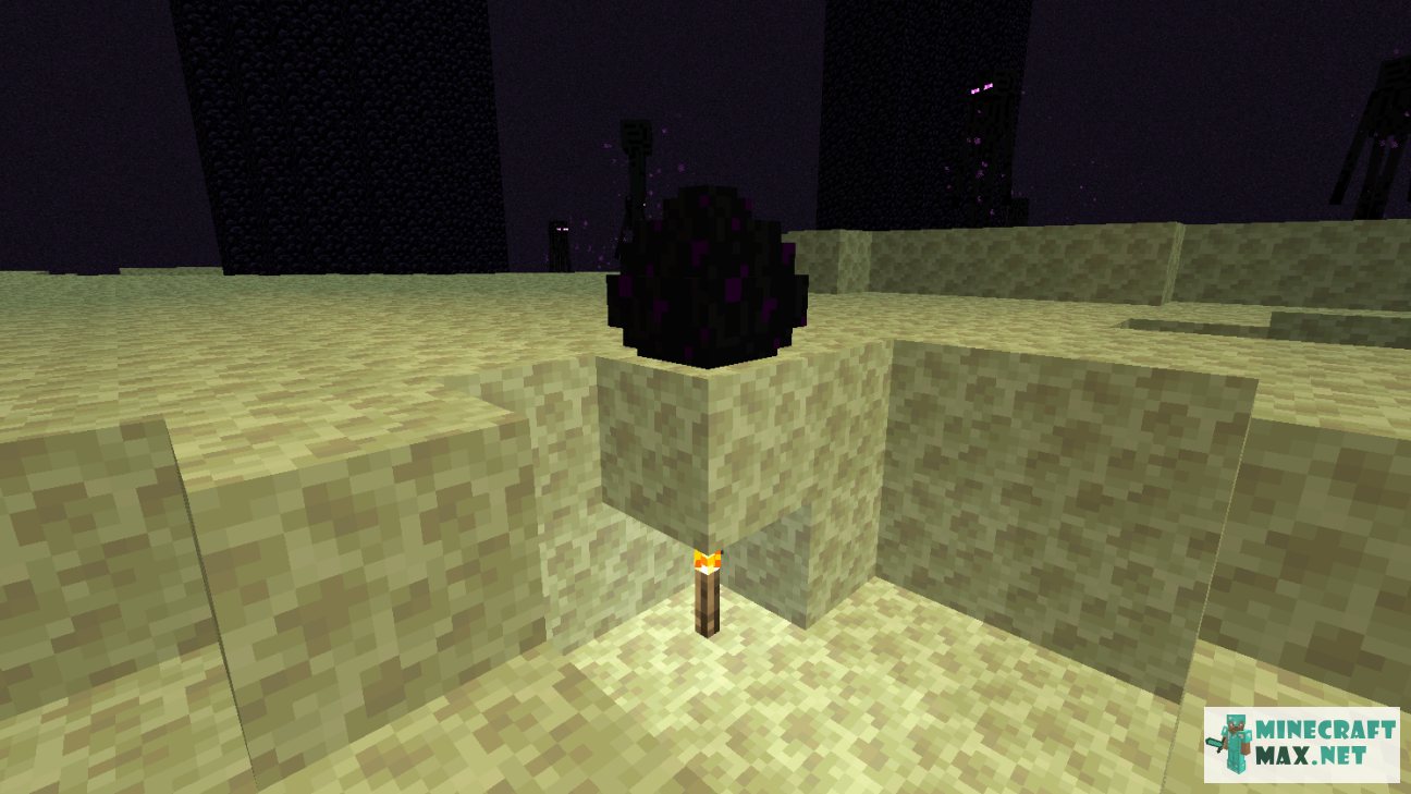 Black gem in Minecraft | Screenshot 567