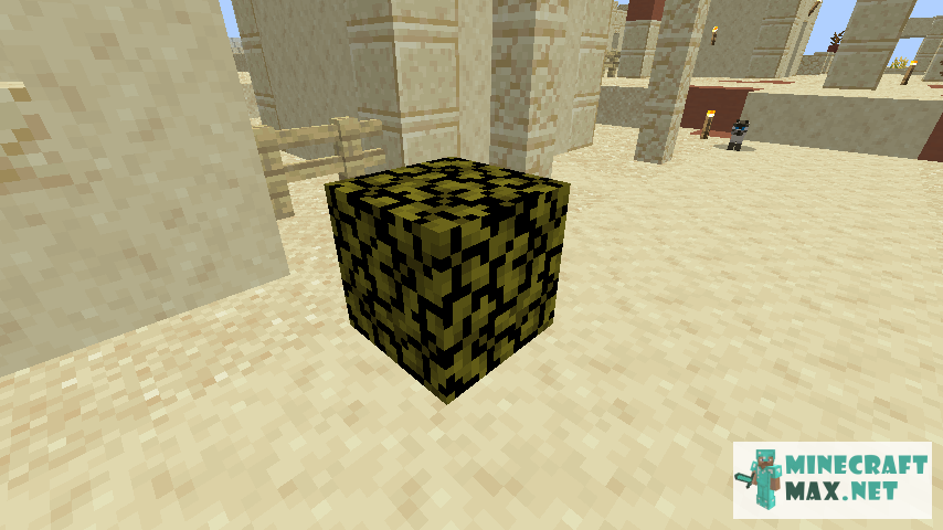 Black gem in Minecraft | Screenshot 605