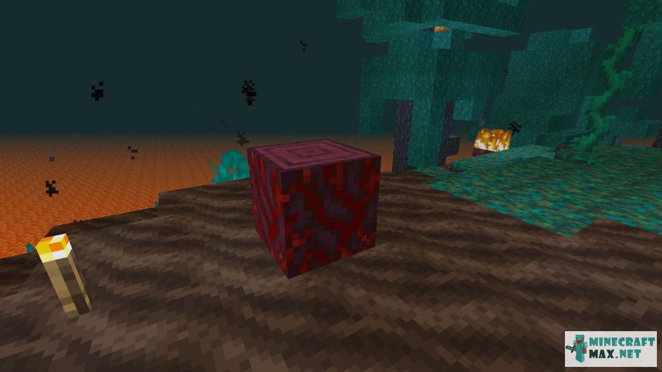 Black gem in Minecraft | Screenshot 2957