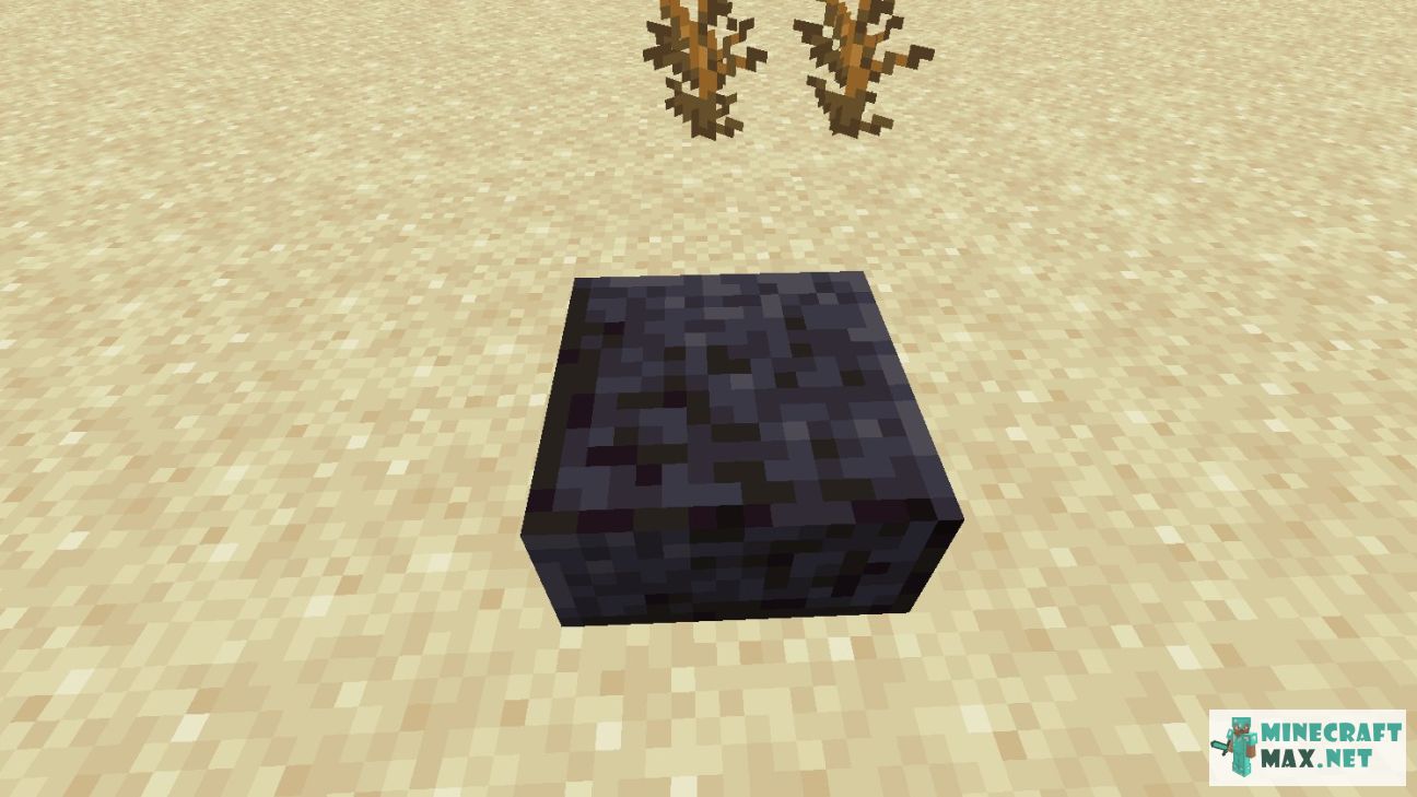 Black gem in Minecraft | Screenshot 2869