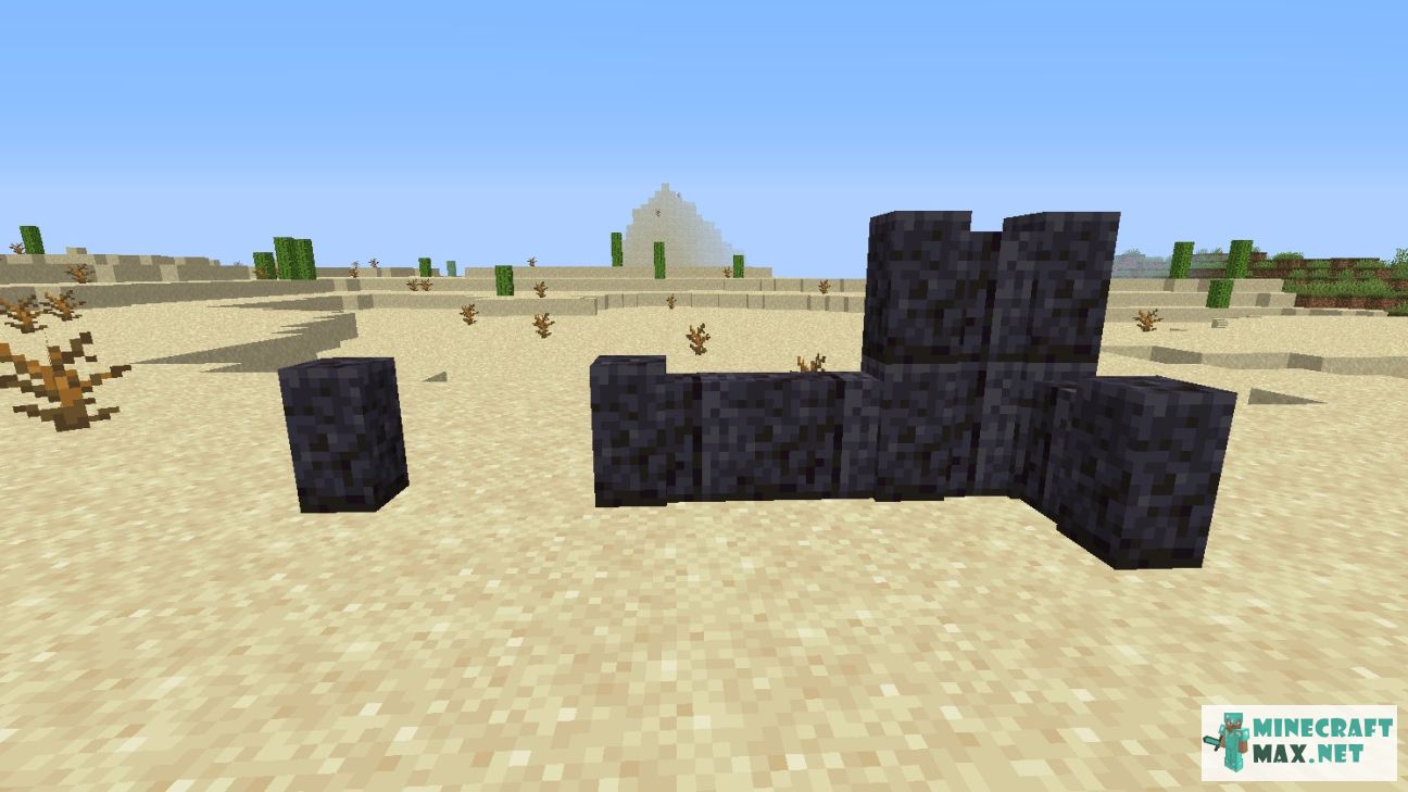Black gem in Minecraft | Screenshot 2874