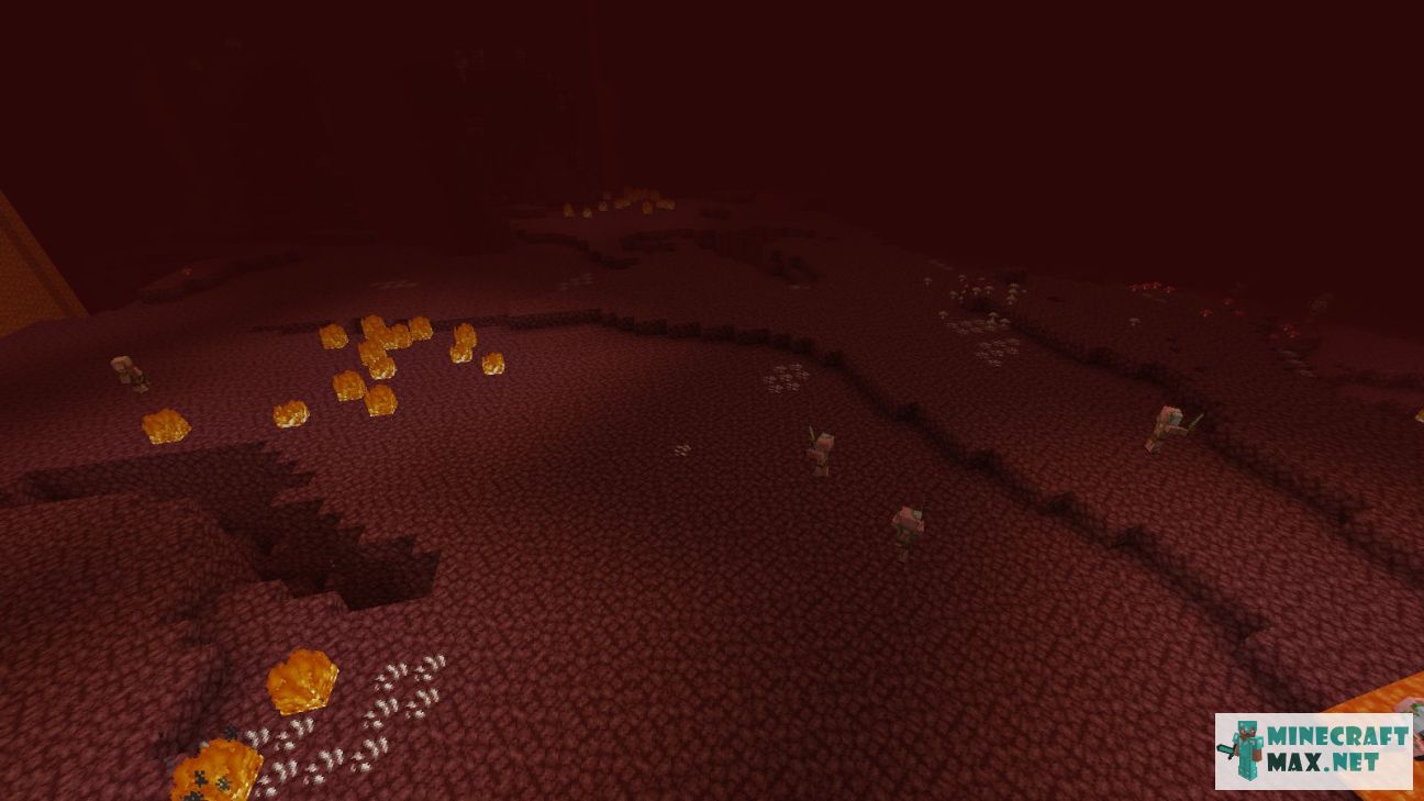 Black gem in Minecraft | Screenshot 3564