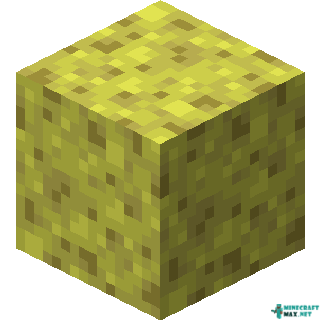 Sponge in Minecraft
